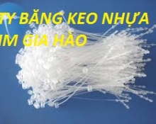 DÂY RÚT NHỰA 4 X 200MM CHỢ KIM BIÊN
